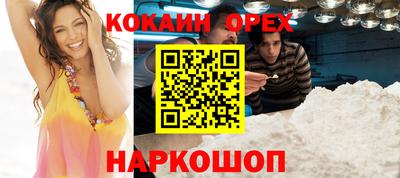 индика Кингисепп