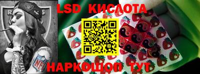 индика Кингисепп