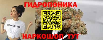 индика Кингисепп