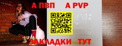 индика Кингисепп