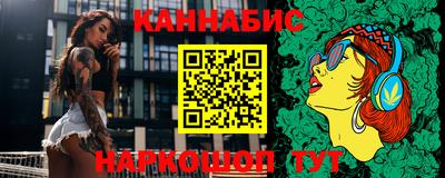 индика Кингисепп