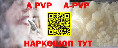 индика Кингисепп