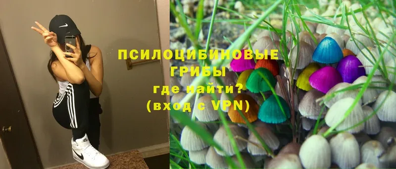 Псилоцибиновые грибы Magic Shrooms  купить наркотик  Магадан 