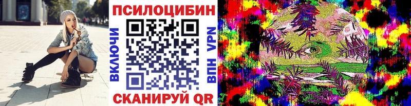 блэк спрут сайт Магадан Псилоцибиновые грибы мицелий