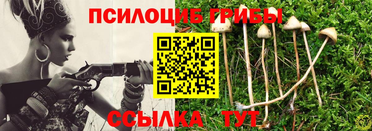 Псилоцибиновые грибы Magic Shrooms  Вход с VPN  Магадан 