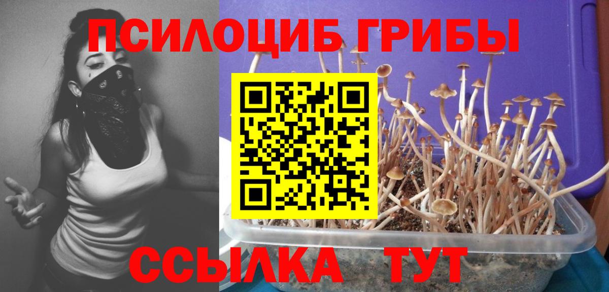 A PVP Магадан