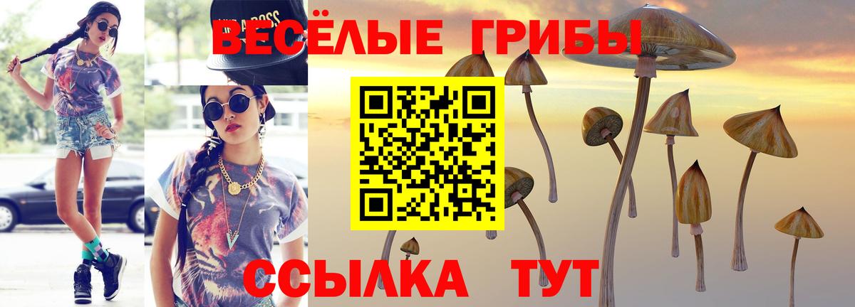 Галлюциногенные грибы MAGIC MUSHROOMS Магадан